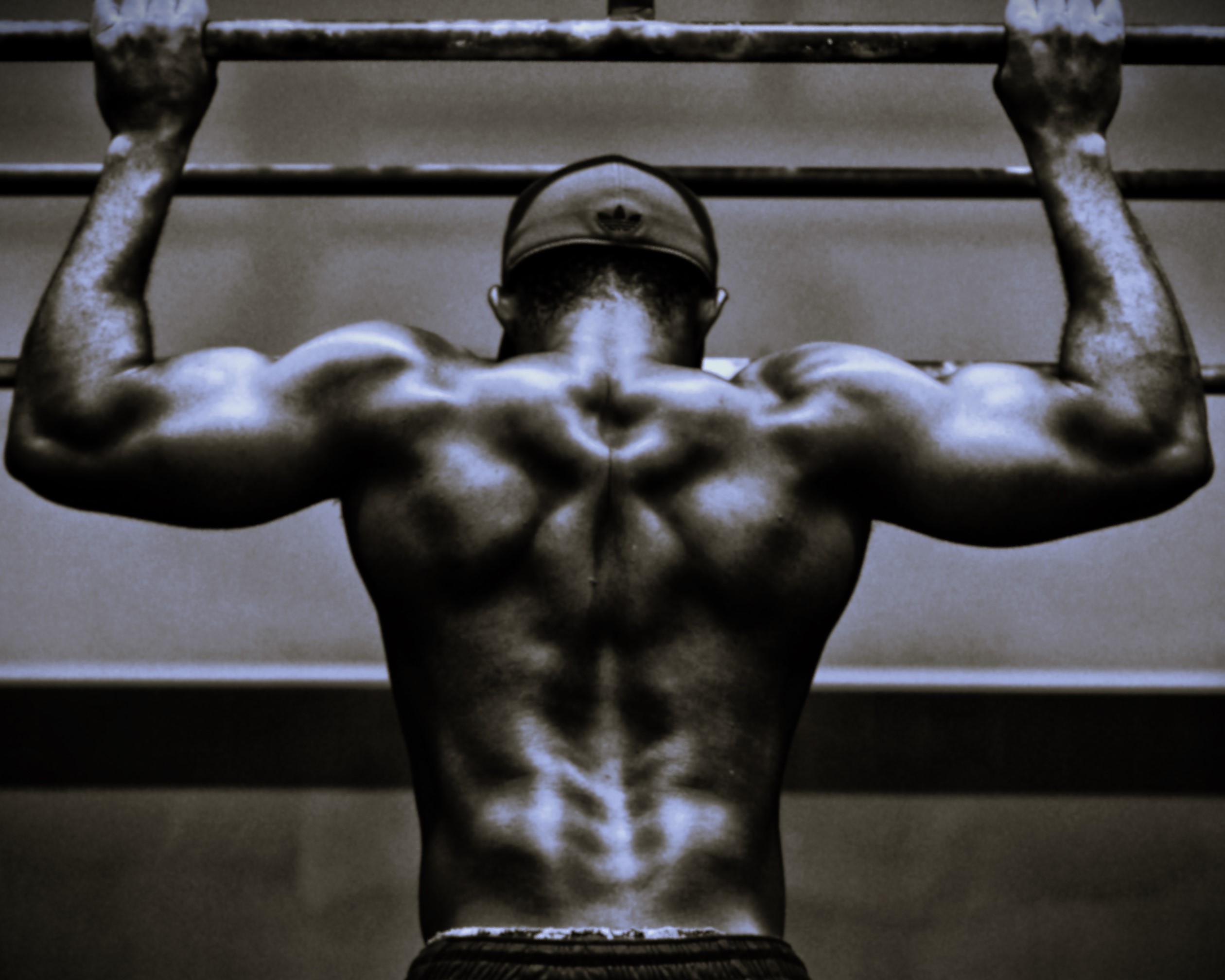 TDEE & Nutrition Guide